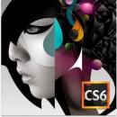 Adobe Creative Suite 6 Design Standard |永久版|オンラインコード版 