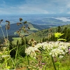 Thumbnail of related posts 117