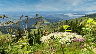 Thumbnail of post image 064